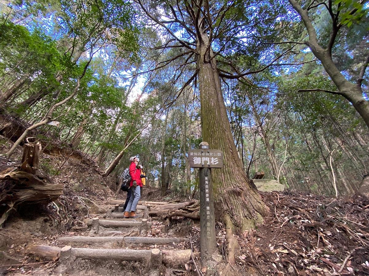 ⛩️ 사나게 신사 (사나게진자)